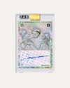 Limited Edition Hajime Sorayama x Complex x GAS Cracked Ice Foil Trading Cards Set