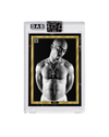 The Official 2Pac GAS 7-Trading Card Set